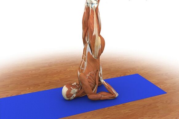 Упражнение на потенциал березы